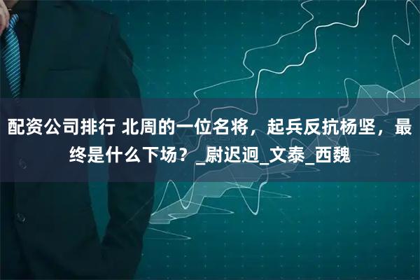 配资公司排行 北周的一位名将，起兵反抗杨坚，最终是什么下场？_尉迟迥_文泰_西魏