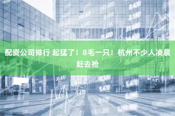 配资公司排行 起猛了！8毛一只！杭州不少人凌晨赶去抢